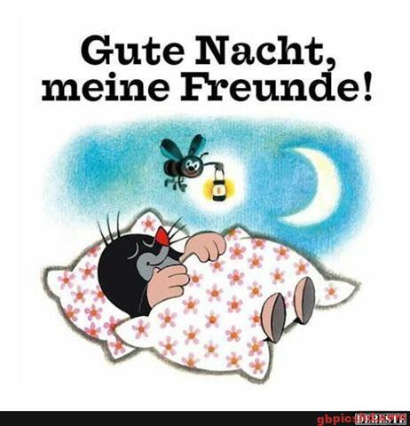 lustige-gute-nacht-bilder_15
