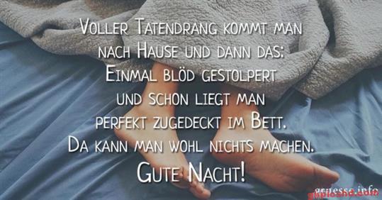 lustige-gute-nacht-bilder_24