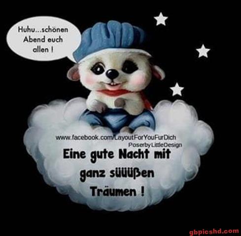 lustige-gute-nacht-bilder_26