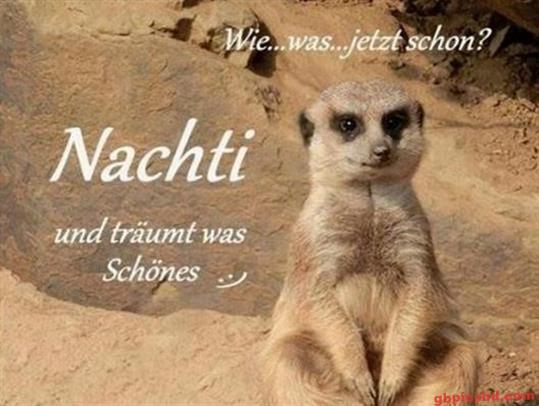 lustige-gute-nacht-bilder_27
