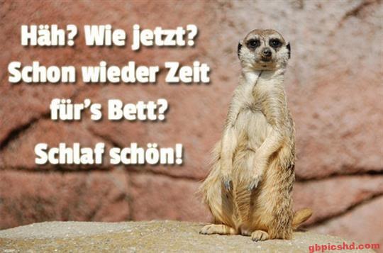 lustige-gute-nacht-bilder_28
