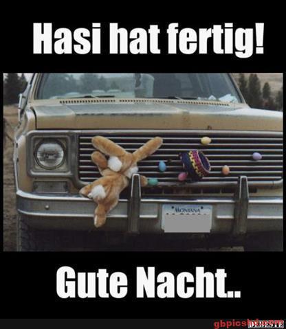 lustige-gute-nacht-bilder_29