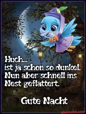 lustige-gute-nacht-bilder_4