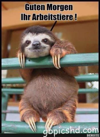 lustige-guten-morgen-bilder_20