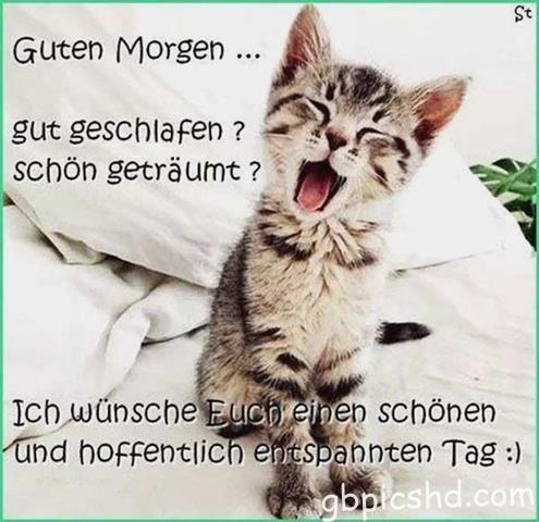 lustige-guten-morgen-bilder_25