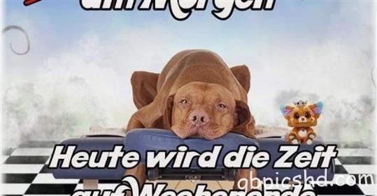 lustige-guten-morgen-bilder_34