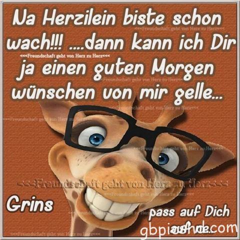 lustige-guten-morgen-bilder_7