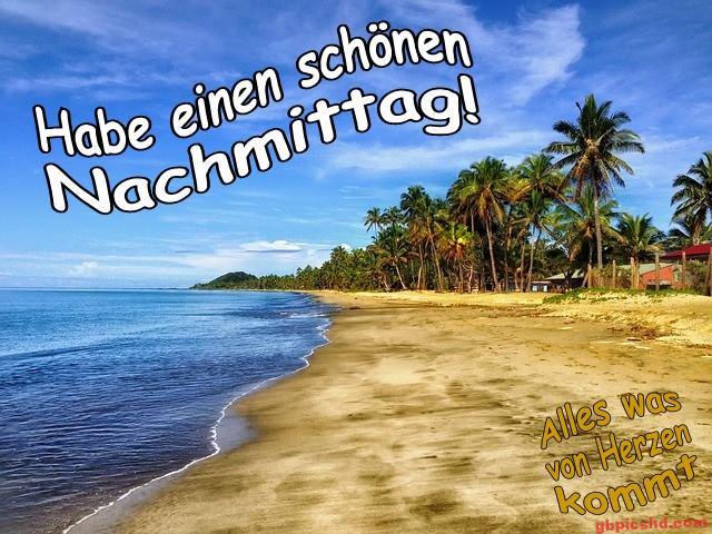Sonnenbeschienener Strand mit Palmen und ruhigem Meer an einem klaren Nachmittag.