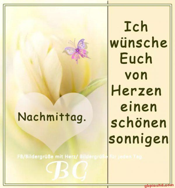 Bild mit weißer Tulpe, Herz und Schmetterling, das einen schönen sonnigen Nachmittag wünscht.