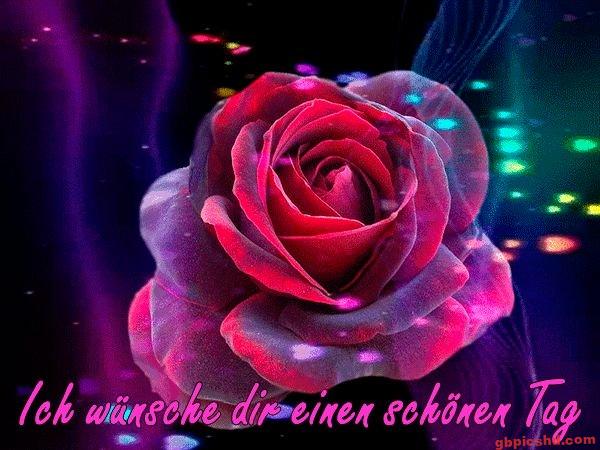Rote Rose mit bunten Lichtreflexen, um einen schönen Tag zu wünschen.