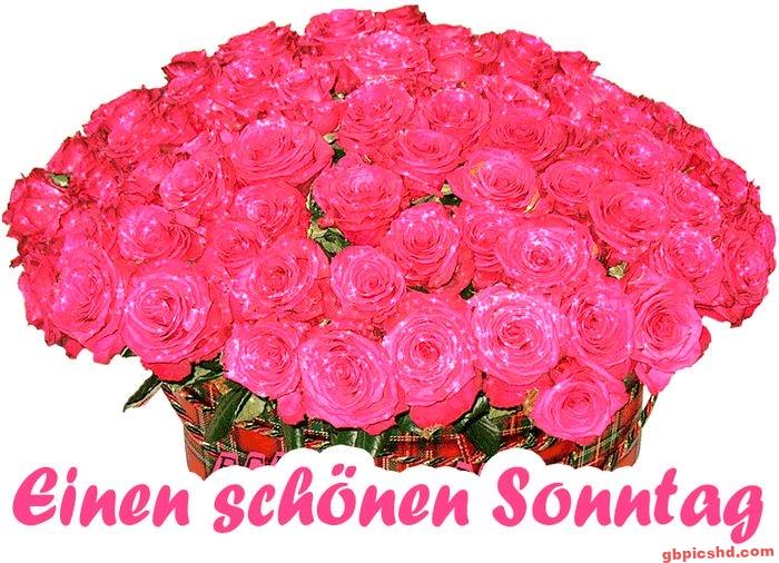 Rosa Rosenstrauß mit dem Schriftzug für einen schönen Sonntag in lebendigen Farben.