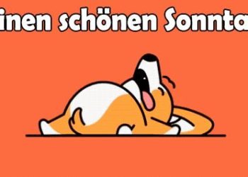 Bewegte Bilder Nachmittag