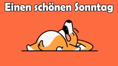 Bewegte Bilder Nachmittag