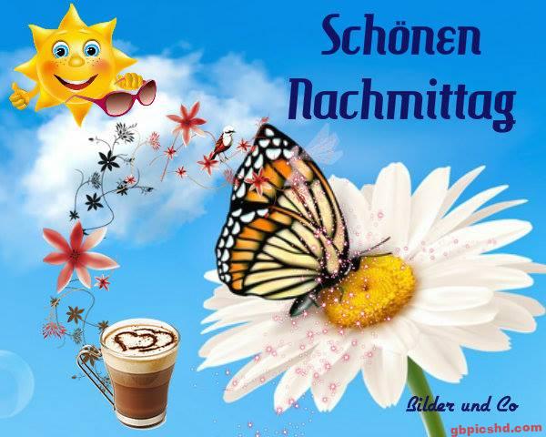 Illustration mit Schmetterling auf Blume, Sonne und Kaffee zum Gruß für den Nachmittag.