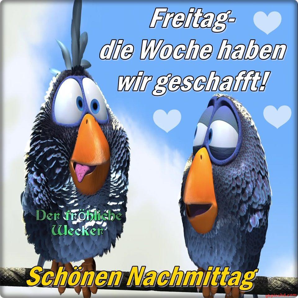 Zwei animierte blaue Vögel freuen sich am Freitagnachmittag.