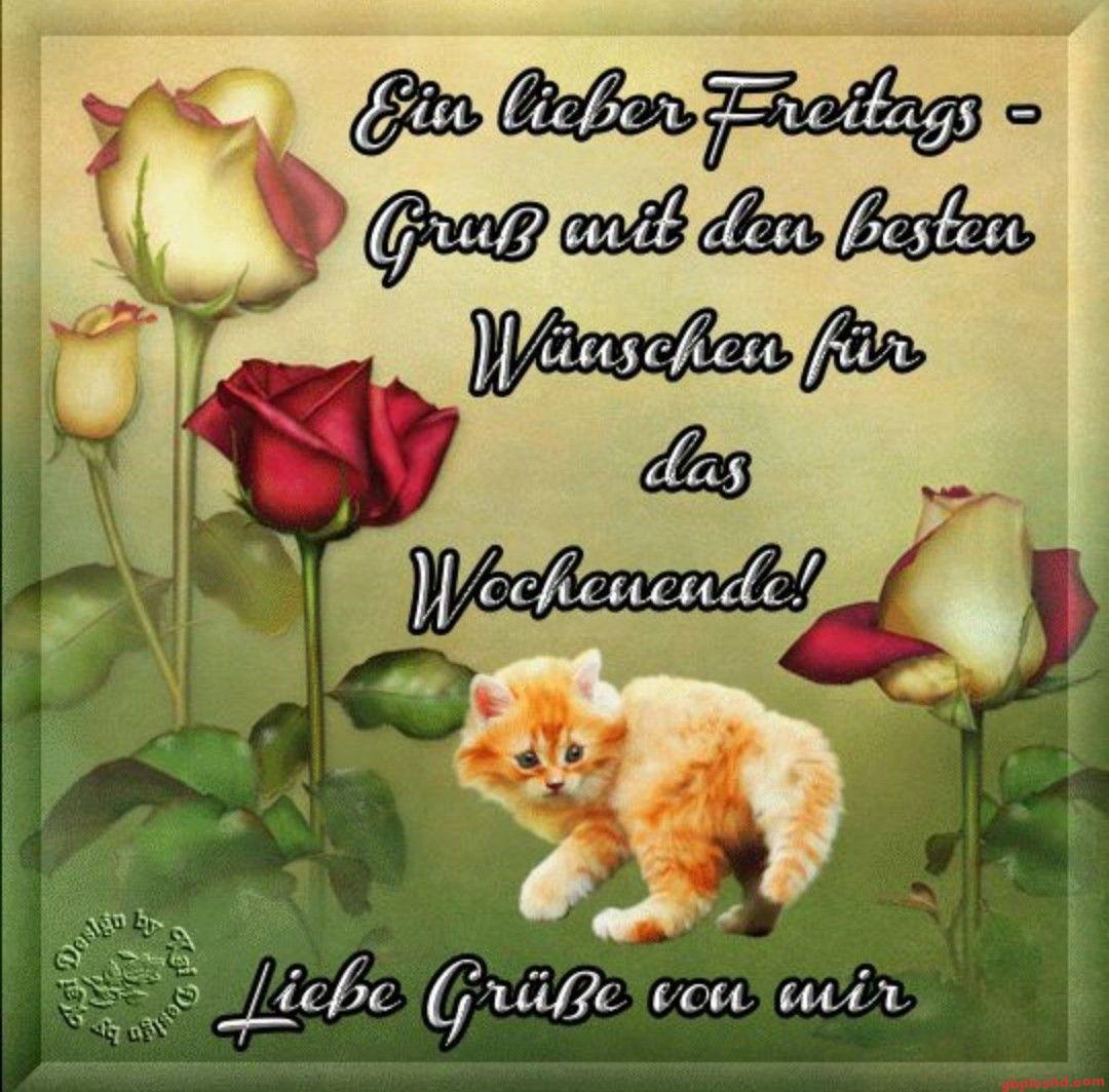 Grußkarte zum Wochenende mit einem Kätzchen und Rosen in warmen Farben.