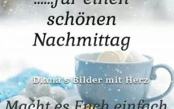 Bilder Freitag Nachmittag