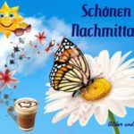 Bilder Guten Nachmittag