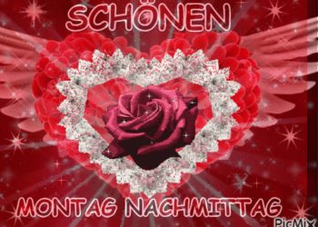 Bilder Montag Nachmittag
