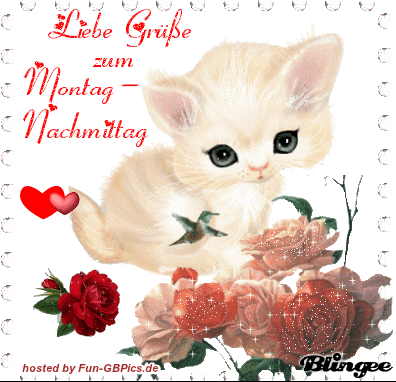 Niedliches Kätzchen mit Rosen und Kolibri als Gruß zum Montag-Nachmittag.