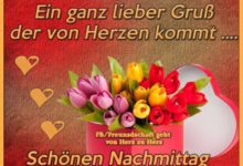Bilder Nachmittag 36 with Bilder Nachmittag