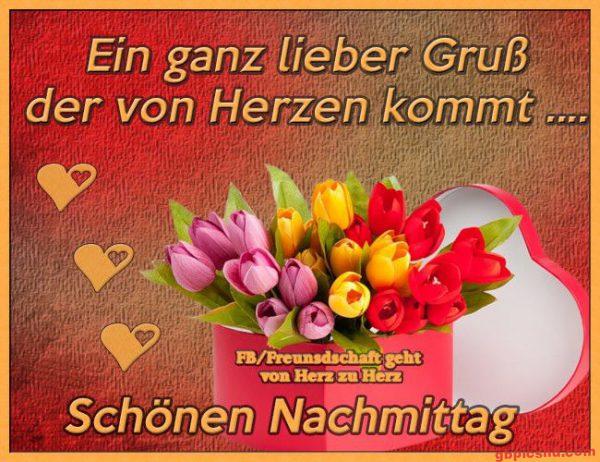 Bunte Tulpen in Herzbox mit freundlicher Nachmittagsgrüße-Gestaltung in warmen Rottönen.