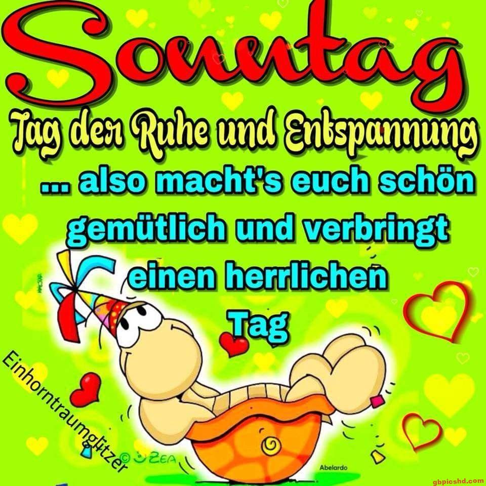 Entspannte Cartoon-Schildkröte mit Partyhut in Muschel an einem ruhigen Sonntag mit Herzensmotiv.
