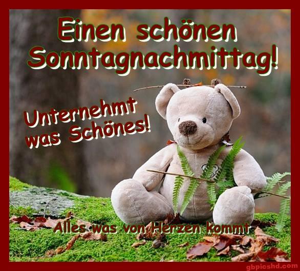 Ein Teddybär sitzt draußen auf grünem Moos und grünen Pflanzen, Text wünscht einen schönen Sonntagnachmittag.