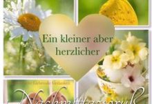 Bilder Sonntag Nachmittag