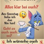 Bilder Und Co Nachmittag