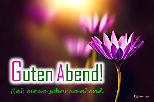 Lila Blume mit dem Text 'Guten Abend! Hab einen schönen abend.' als abendlicher Gruß.