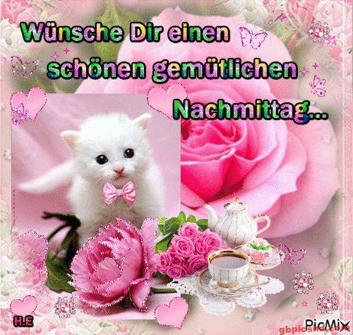 Niedliches weißes Kätzchen mit rosa Schleife und Rosen, Tee-Arrangement für einen gemütlichen Nachmittag.