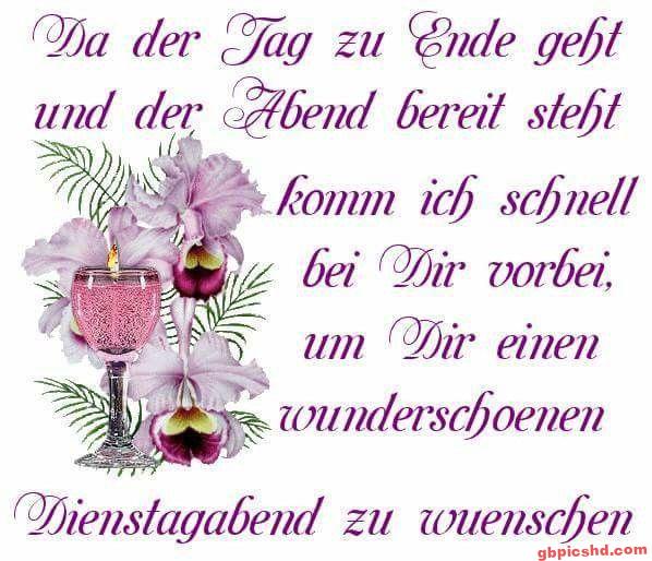 Lila Orchideenblumen und eine Kerze mit einem Gruß zum Dienstagabend in schöner Schrift.