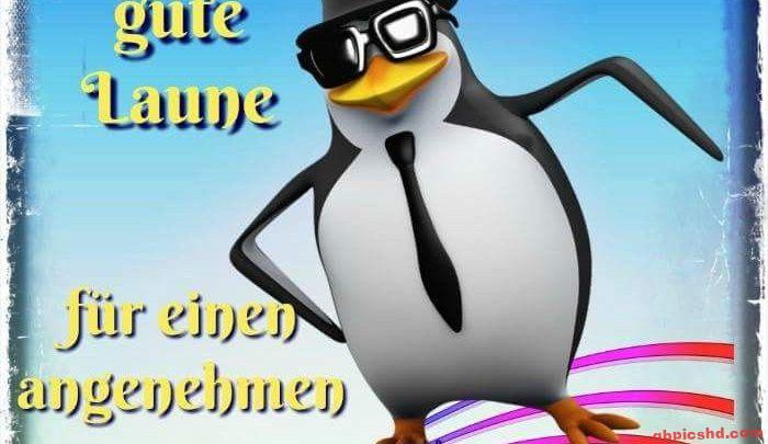 Animierter Pinguin mit Sonnenbrille und Krawatte, fröhlich, bunte Szene, gute Laune wünschen.