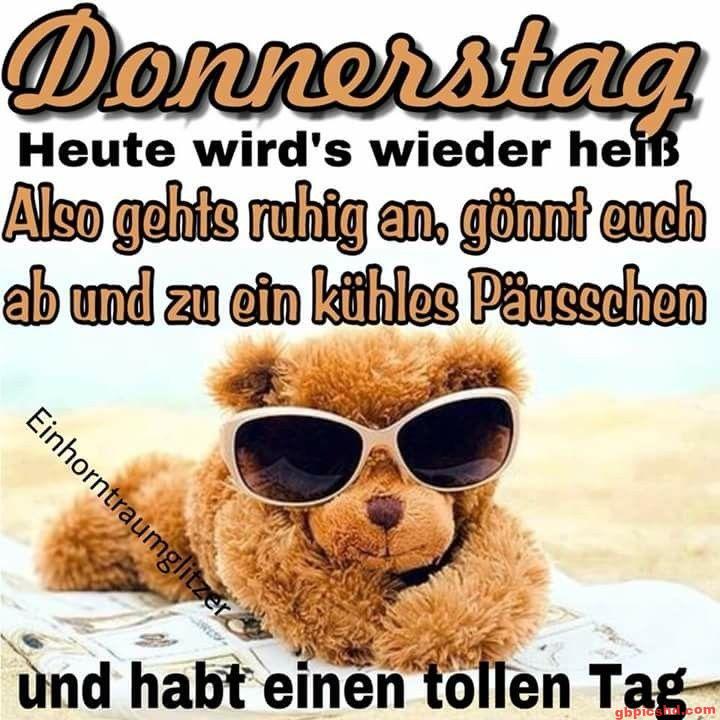 Entspannter Teddybär mit Sonnenbrille am warmen Donnerstagnachmittag.