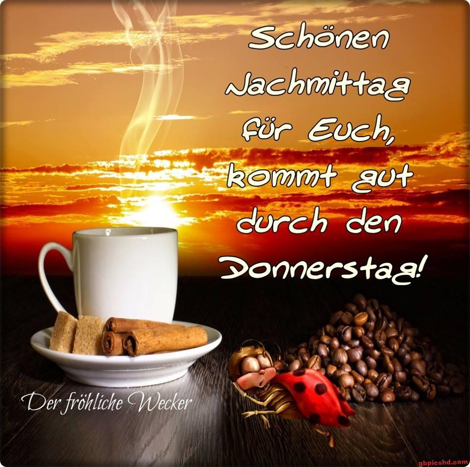 Tasse Kaffee mit Zimt und Zucker vor Sonnenuntergang, Marienkäfer und Kaffeebohnen auf Holzuntergrund.