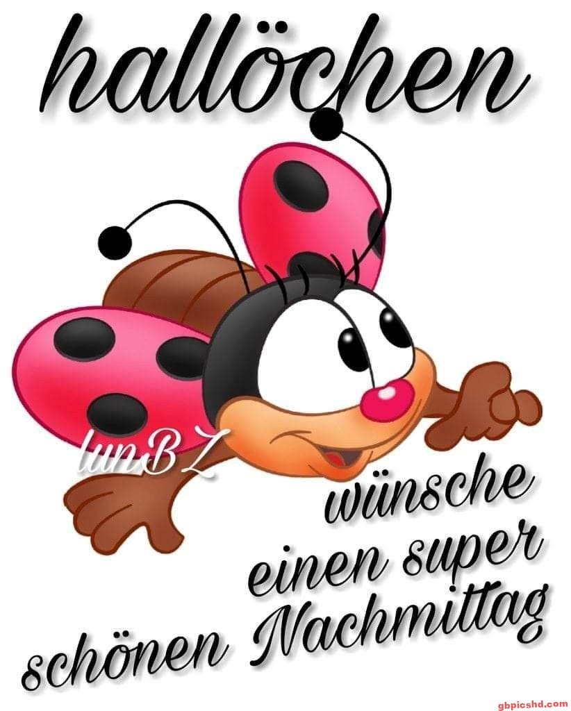 Bunte Marienkäfer-Zeichnung mit freundlichem Gruß für einen schönen Nachmittag.