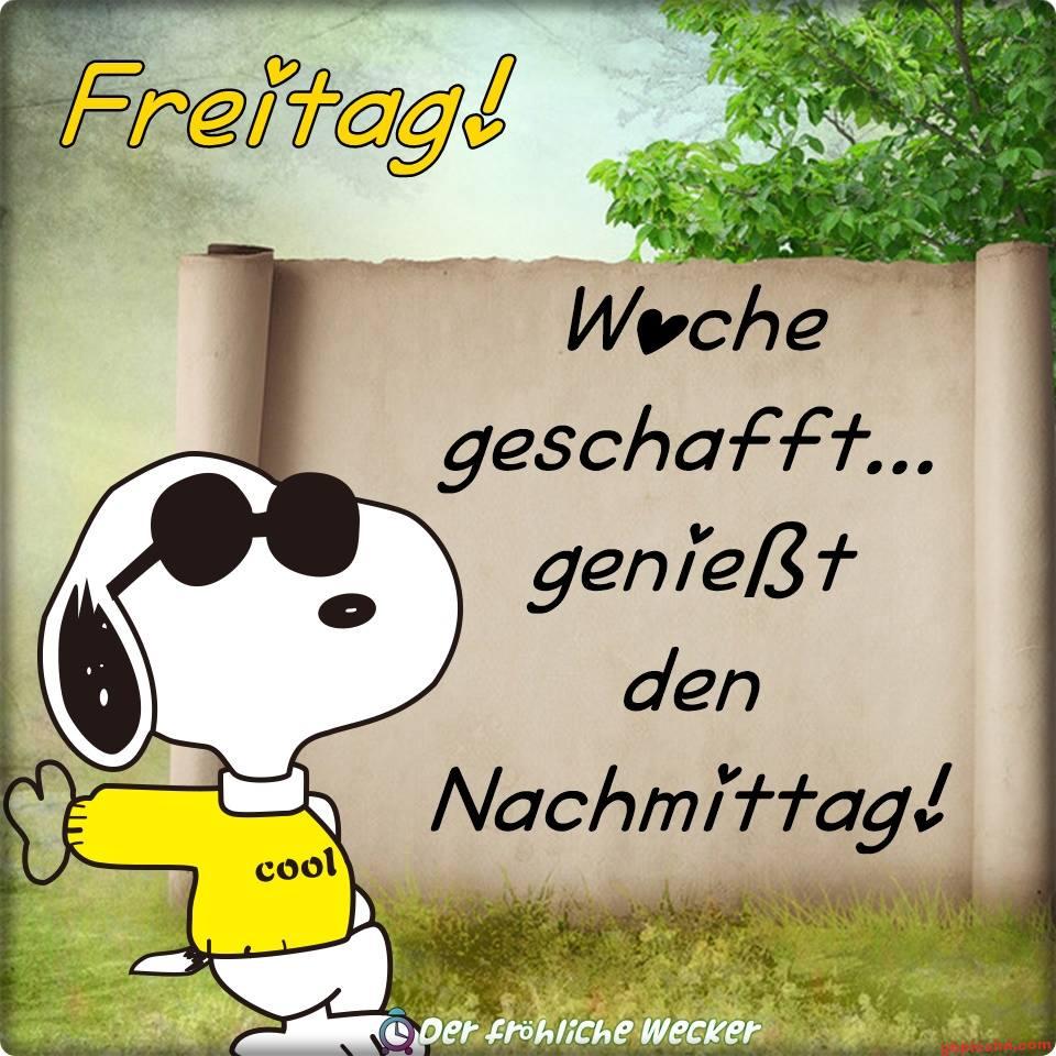 Snoopy mit Sonnenbrille und gelbem Pullover vor Schriftrolle mit Freitagsgruß.