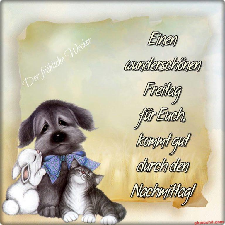 Schöne bewegliche bilder
