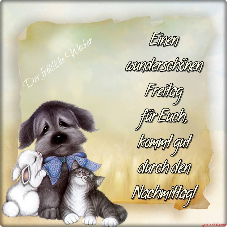 Niedliche Hunde-, Kaninchen- und Katzenzeichnung mit Freitagsgruß auf hellem Hintergrund.