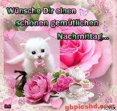 Niedliches weißes Kätzchen mit rosa Schleife neben Rosen und Teetasse für einen gemütlichen Nachmittag.