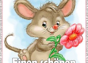 Bilder Zum Nachmittag Kostenlos