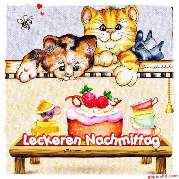 Zwei Katzen schauen neugierig auf einen Kuchen und Tassen zum Nachmittagstee.