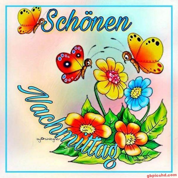 Bunte Schmetterlinge und Blumen mit dem Schriftzug Schönen Nachmittag.