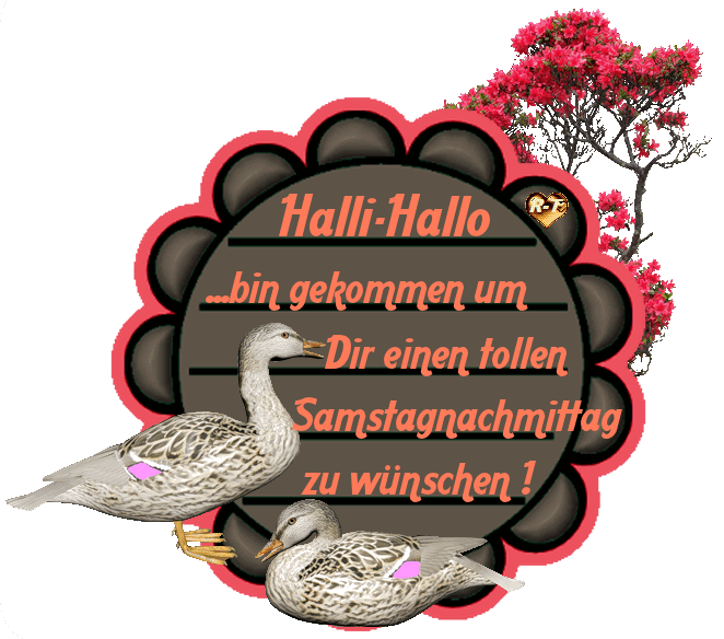 Zwei Enten mit einem Gruß für einen schönen Samstagnachmittag und ein blühender Baum.