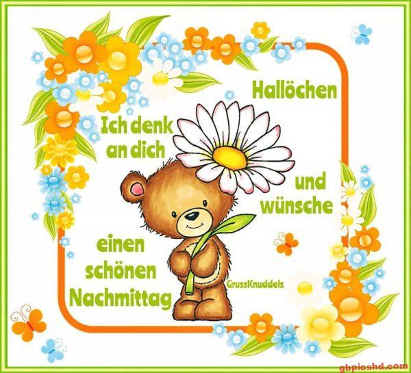 Niedlicher Teddybär mit Blume und buntem Blumenrahmen, wünscht einen schönen Nachmittag.