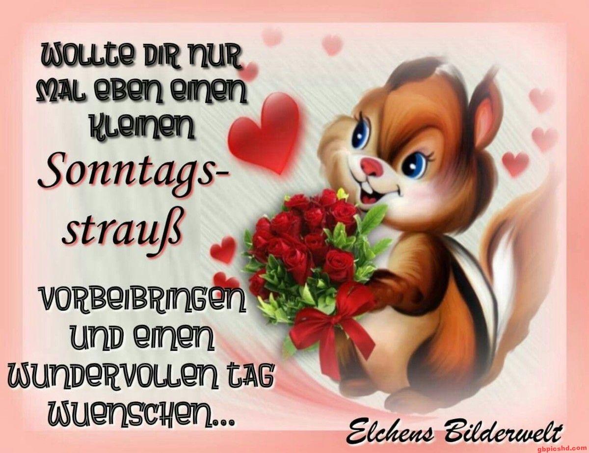 Niedliches Tier mit Rosenstrauß, um einen schönen Sonntag zu wünschen.