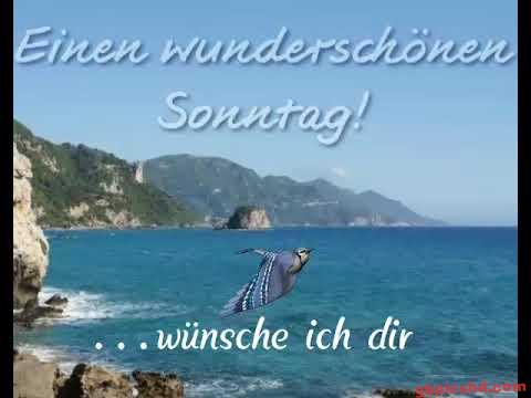 Felsige Meeresküste mit blauem Himmel und fliegendem Vogel, Sonntagsgruß in deutscher Sprache.