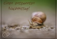 Entspannten Nachmittag Bilder