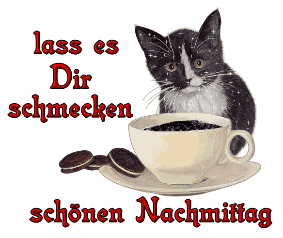 Schwarz-weiße Katze mit Kaffee und Keksen, Text wünscht einen schönen Nachmittag.